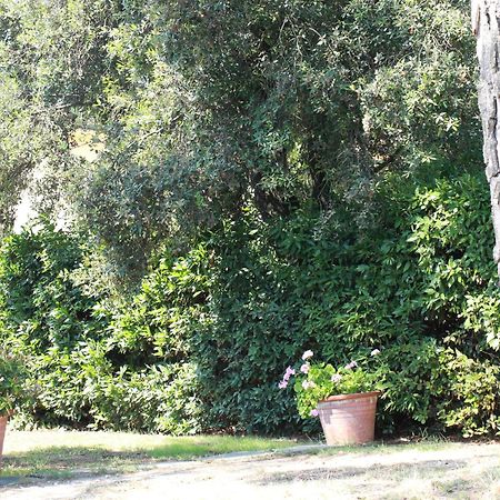 Villetta La Pineta Latignano Exterior foto