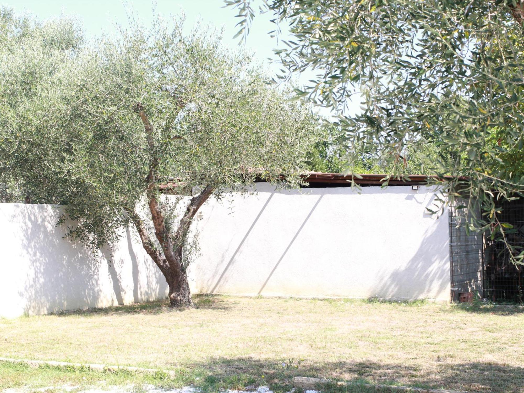 Villetta La Pineta Latignano Exterior foto